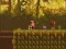Hra The Lost Forest