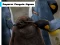 Hra Emperor Penguin Jigsaw