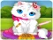 Hra Vet Cat Clinic