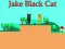 Hra Jake Black Cat