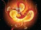 Hra Chinese Dragons Coloring