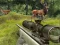 Hra Stag Hunt