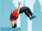 Hra Flip Master