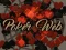 Hra Poker Web