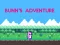 Hra Bunn's Adventure