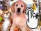 Hra Pets Clicker
