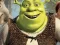 Hra Shrek Jigsaw Puzzle Collection
