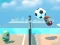 Hra Dunk beans hole 3D Color