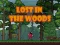 Hra Lost in the Woods