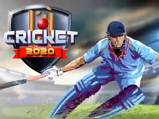 Hra Cricket 2020