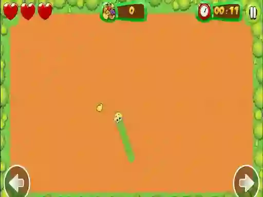 Hra Fruit Snake