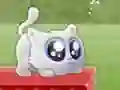 Hra Extreme Kitten