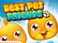 Hra Best Pet Friends