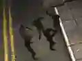 Hra Zombie Reborn