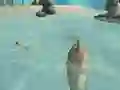 Hra Shark Simulator Beach Killer