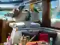 Hra Caribbean Crime