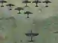 Hra Wings Of Glory
