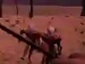 Hra Last Defense