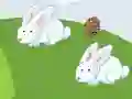 Hra Crazy Eggs
