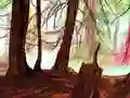 Hra Hidden Stars
