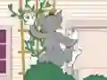 Hra Tom und Jerry: Wasserbomben Wahnsinn