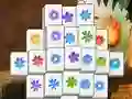 Hra Spring Flower