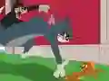 Hra Tom and Jerry: Chasing Jerry