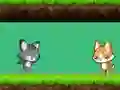 Hra Cat vs Dog