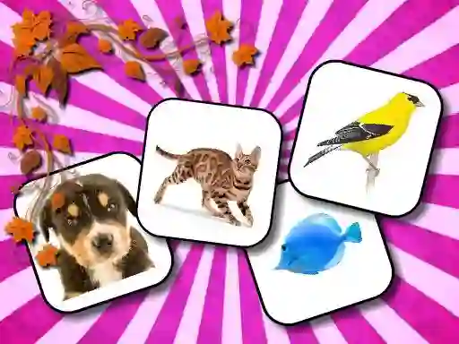 Hra Animals Memory