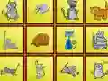 Hra Cats Findiff