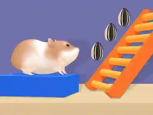 Hra Hamster Stack Maze