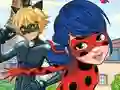 Hra LadyBug Differences