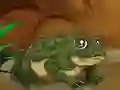 Hra Frogs Matching