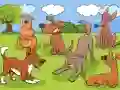 Hra Animals Differences