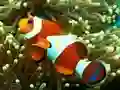 Hra Underwater Hidden Numbers