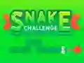 Hra Snake Challenge