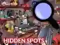 Hra Hidden Spots In The Room
