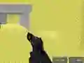 Hra Pixel Combat Multiplayer