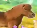 Hra My Dear Pony