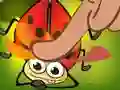 Hra Insect Cush