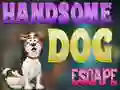Hra Handsome Dog Escape