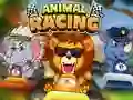 Hra Animal Racing