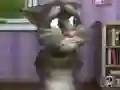 Hra Talking Tom Cat 2