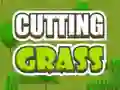Hra Cutting Grass
