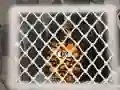 Hra Tiger Escape 1