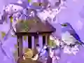 Hra Wonderful Humming Bird Land Escape
