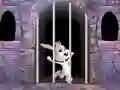 Hra Victory Rabbit Escape