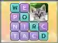 Hra Word Search Pictures