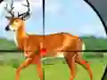 Hra Wild Hunt Hunting Games 3D