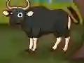 Hra Escape The Banteng